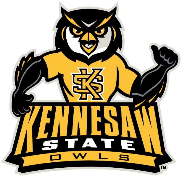 Kennesaw State Owls 2012-Pres Mascot Logo v2 diy fabric transfer